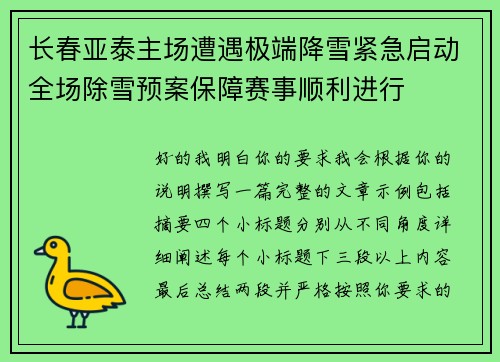 长春亚泰主场遭遇极端降雪紧急启动全场除雪预案保障赛事顺利进行 长春亚泰主场遭遇极端降雪紧急启动全场除雪预案保障赛事顺利进行